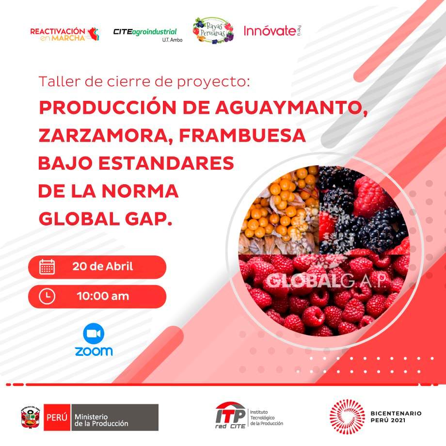 Norma GAP Cite Agroindustrial Tambo