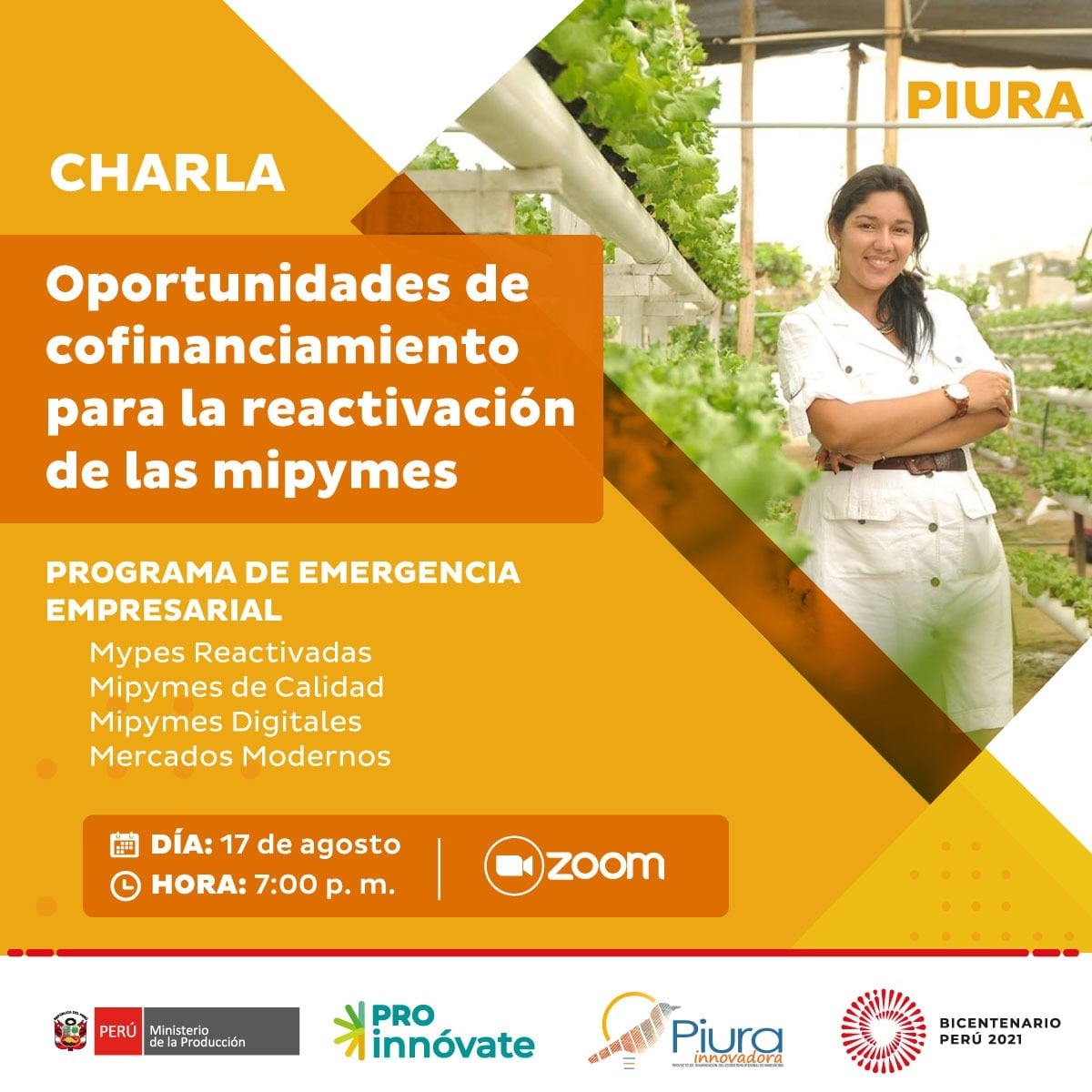 Charla oportunidades de cofinanciamiento DER Piura 19 de agosto