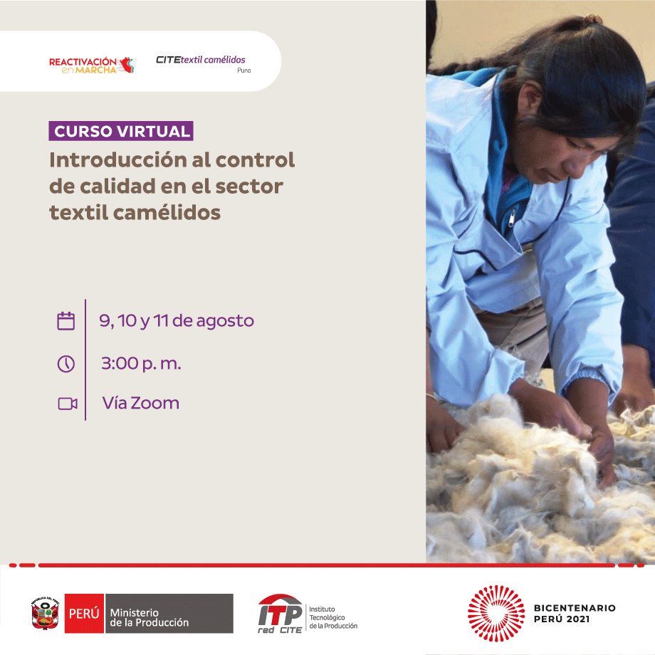 Curso virtual Cite Camélidos 9 al 11 de agosto
