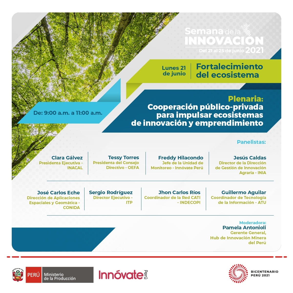 SDI Concytec plenaria GVE 