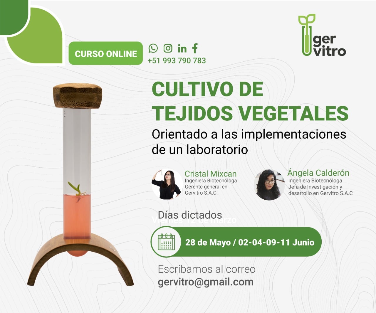 Gervitro 28 de mayo