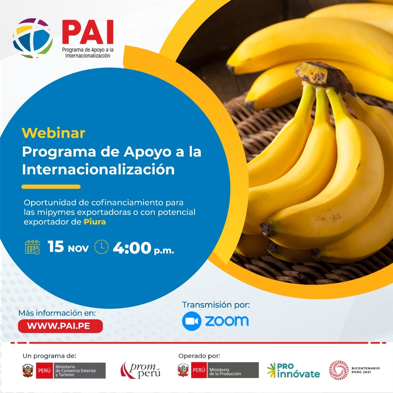 15 de noviembre Webinar PAI PI