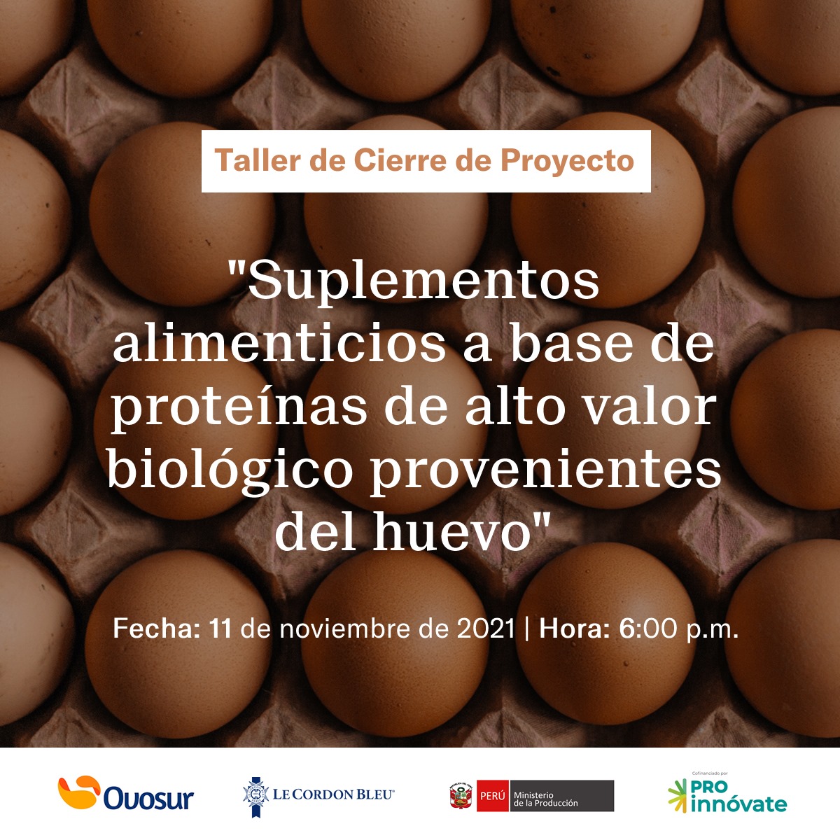 Difusión taller suplementos 11 de noviembre