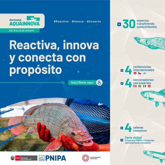Bootcamps PNIPA 18 al 22 de octubre