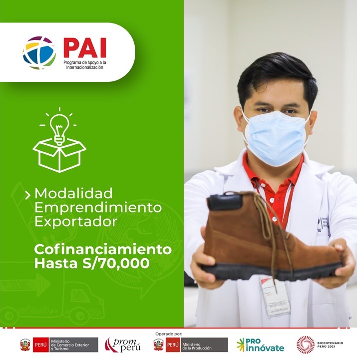 Webinar PAI 19 de octubre