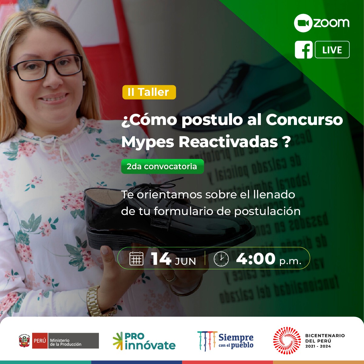 II taller mypes reactivadas JUN14