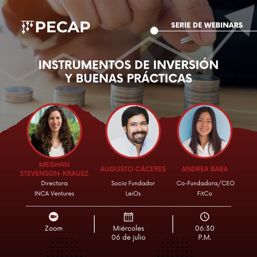 Instrumentos de inversión y buena práctica PECAP JUL4