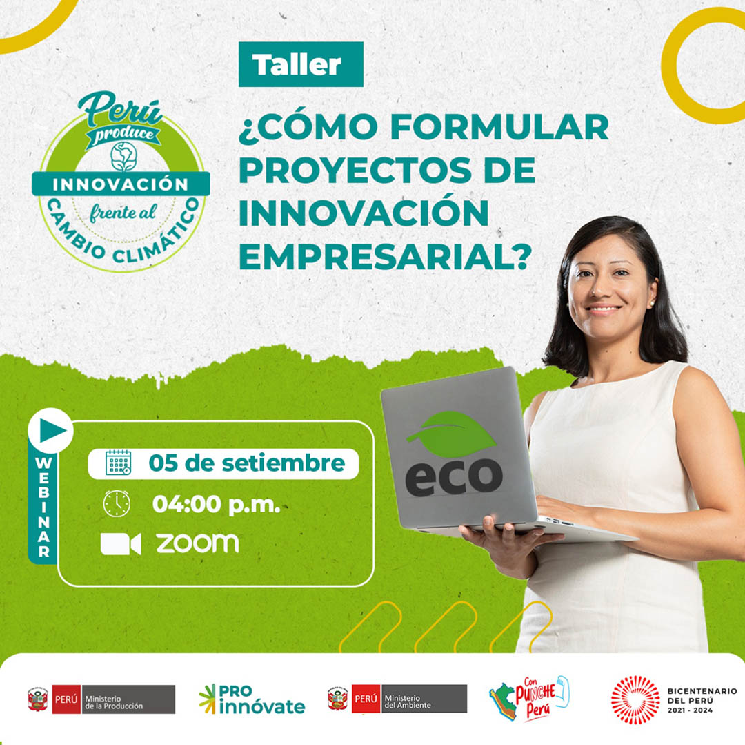 Taller de formulación proyectos SET5