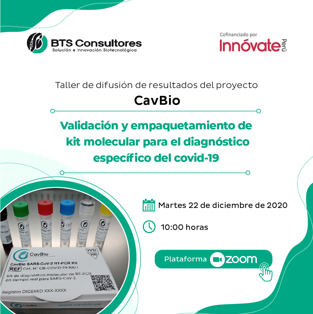 BTS CONSULTORES RRSS 02