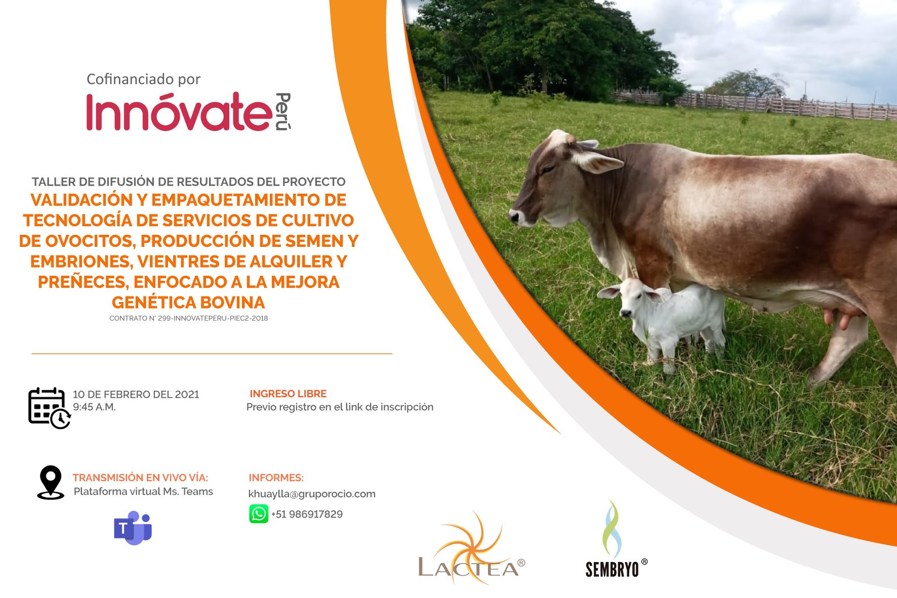 Bovinos láctea 10 de febrero