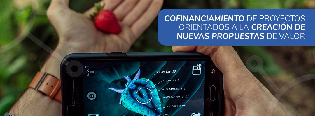 IPR validación para la innovación empresarial