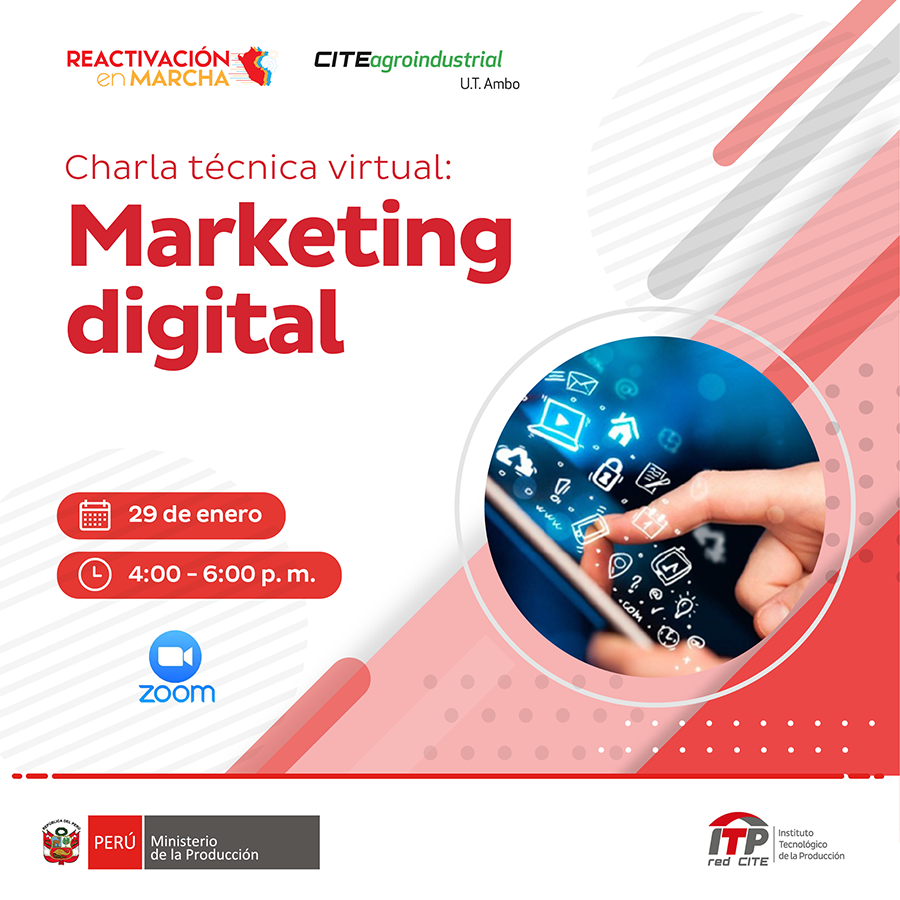 Marketing digital ITP 29 de enero