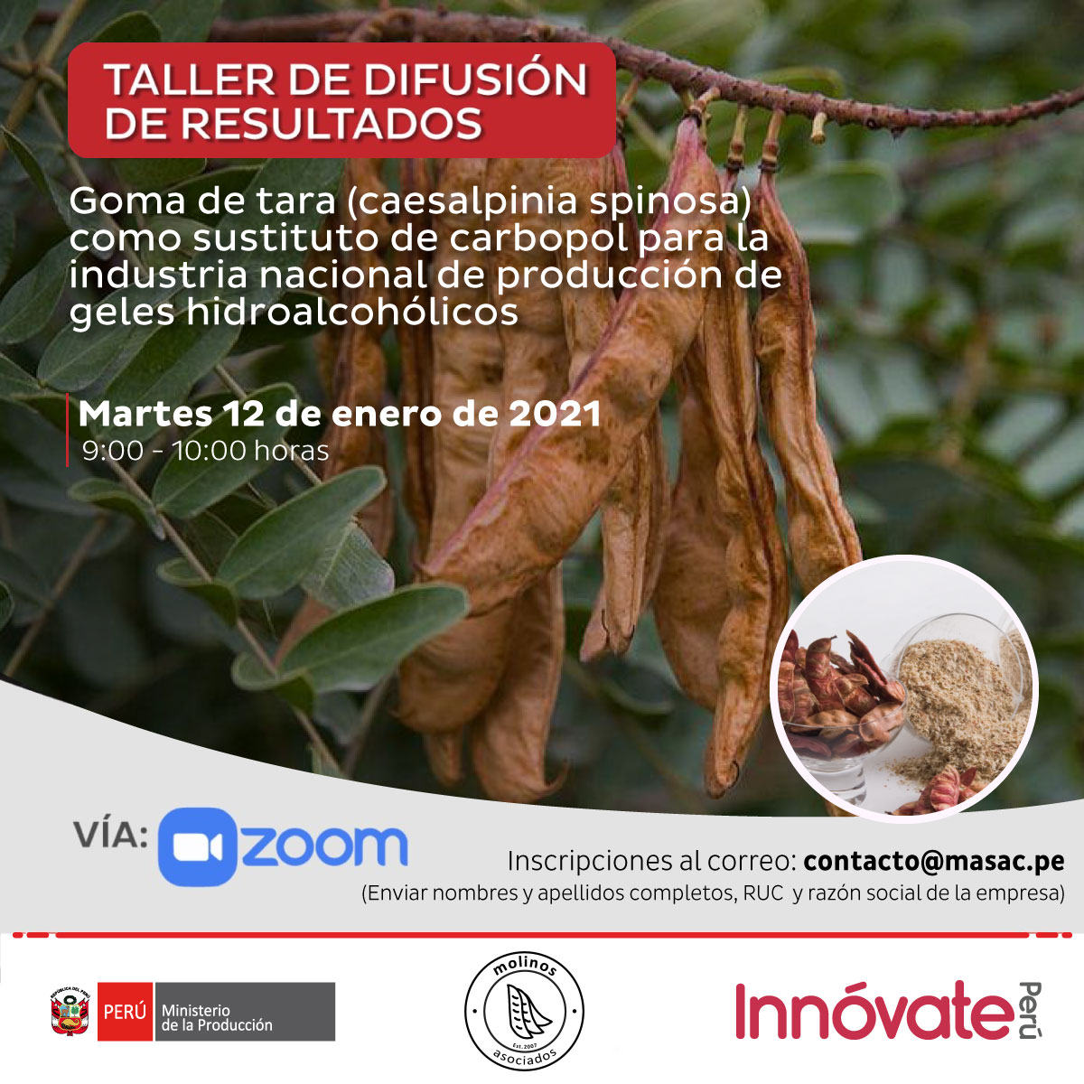 Taller de resultados tara carbopol 12 de enero Molinos Asociados
