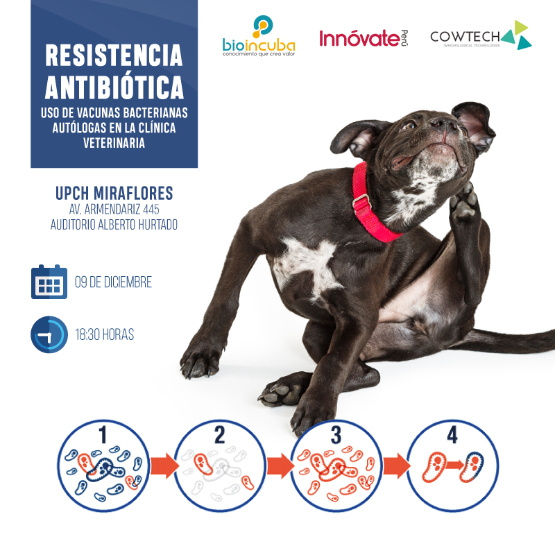 resistencia antibiótica