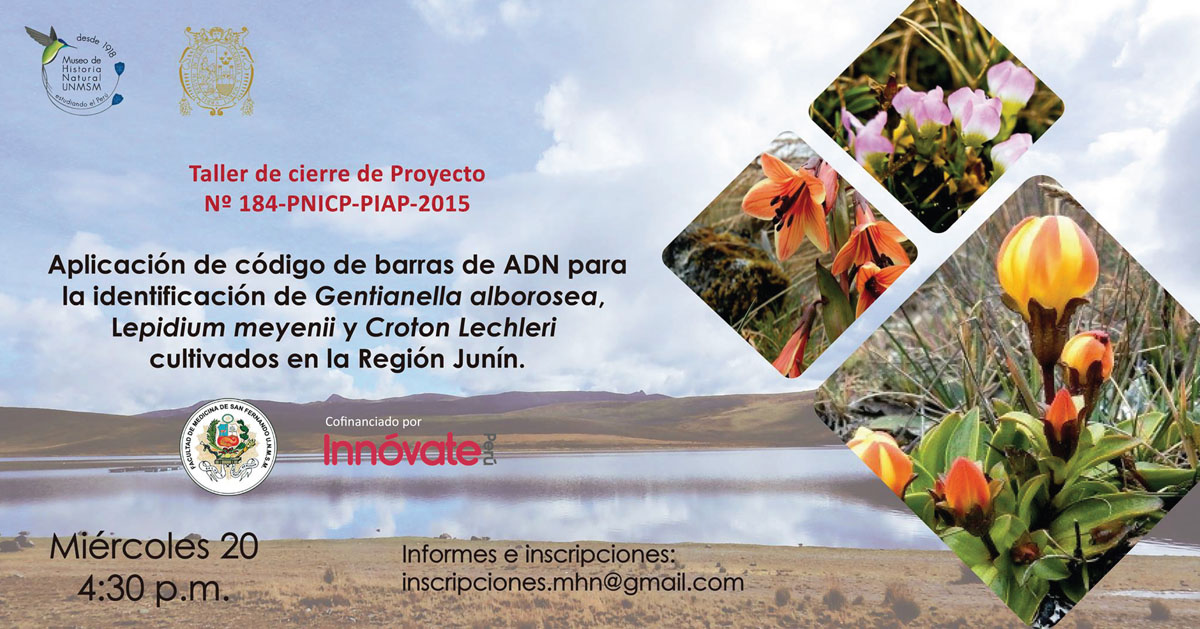 taller de cierre