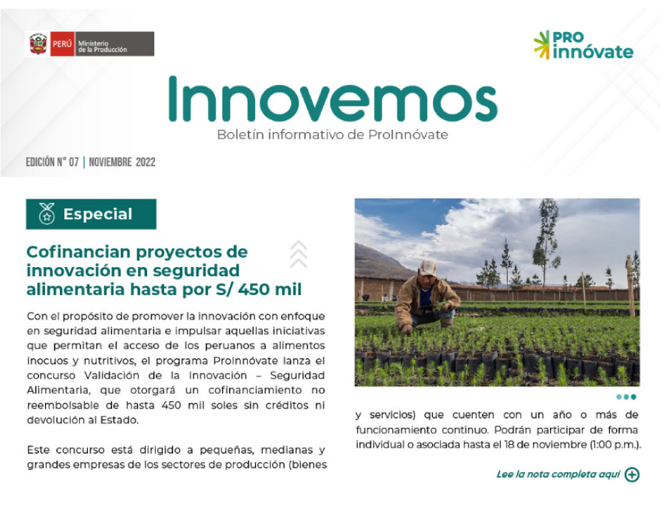 Boletín N°07 | Noviembre 2022